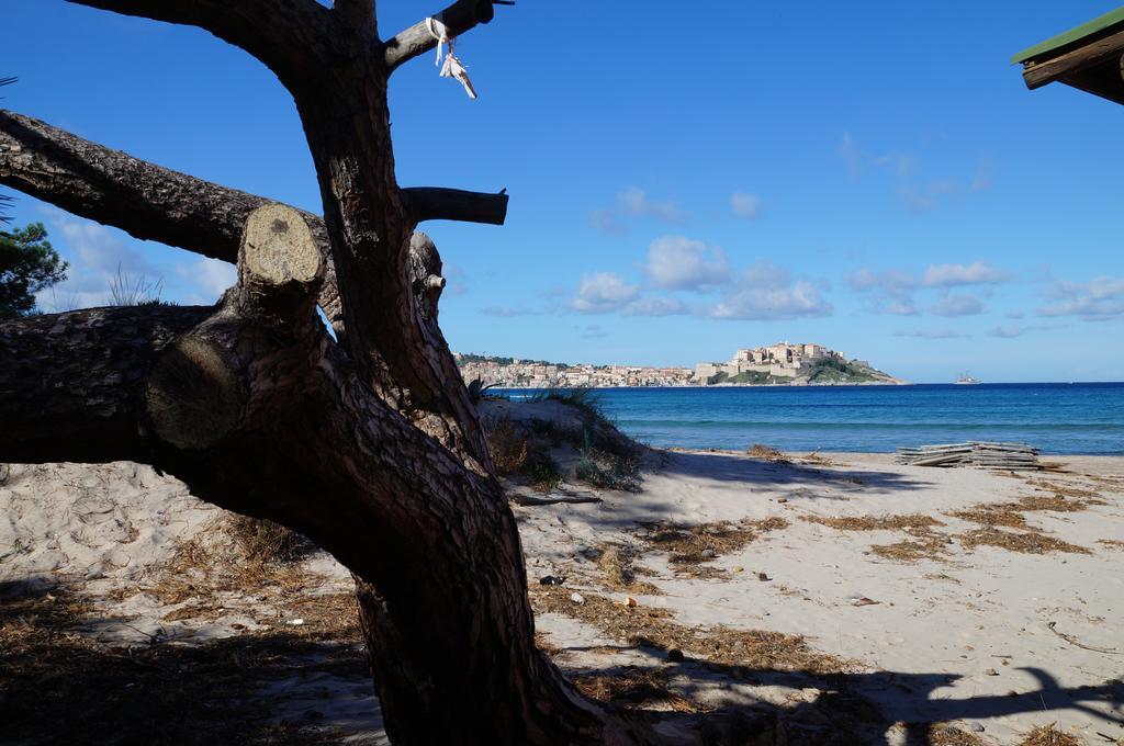 Camping Les Castors Calvi  Luaran gambar